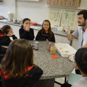 AULA NO LABORATÓRIO SOBRE ANIMAIS VERTEBRADOS E INVERTEBRADOS