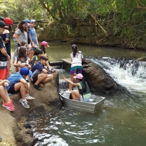 VIAGEM DE ESTUDO AO SÍTIO DO CARROÇÃO