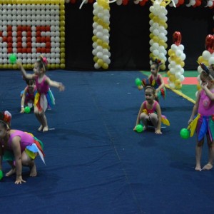 FESTIVAL DE GINÁSTICA 2017