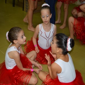 FESTIVAL DE GINÁSTICA 2017