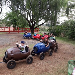 FAZENDO FAZENDA 2º ANO -  2018