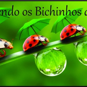 VISITA AO LABORATÓRIO: EXPLORANDO BICHINHOS DE JARDIM