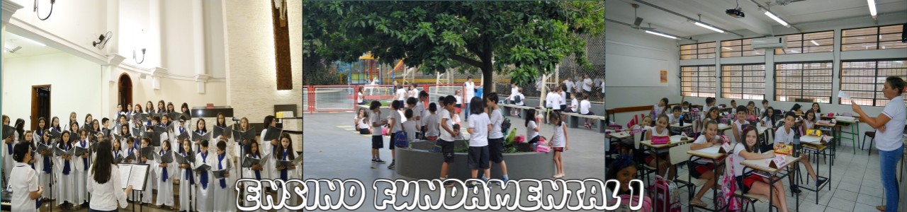 Ensino Fundamental I