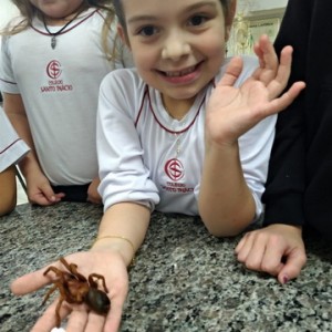 VISITA AO LABORATÓRIO DE CIÊNCIAS