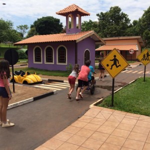 FAZENDO FAZENDA 5º ANO -  2018