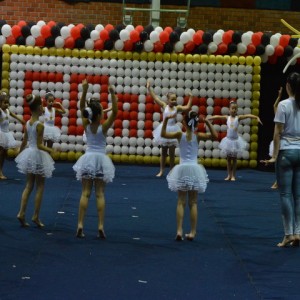 FESTIVAL DE GINÁSTICA 2017