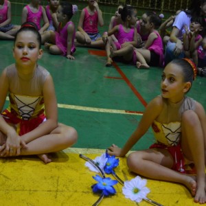 FESTIVAL DE GINÁSTICA 2017