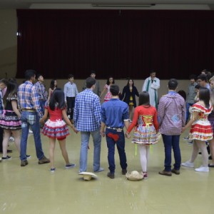 FESTA JUNINA 2017