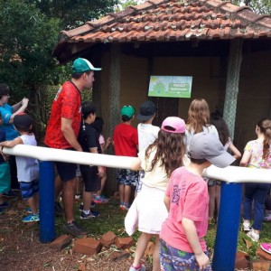 FAZENDO FAZENDA 2º ANO -  2018