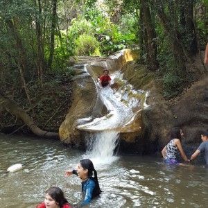 VIAGEM DE ESTUDO AO SÍTIO DO CARROÇÃO