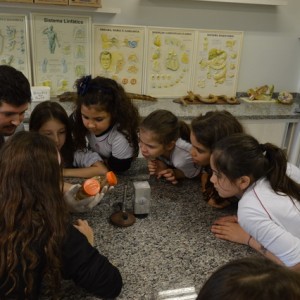 AULA NO LABORATÓRIO SOBRE ANIMAIS VERTEBRADOS E INVERTEBRADOS