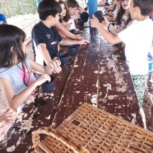 FAZENDO FAZENDA 2º ANO -  2018