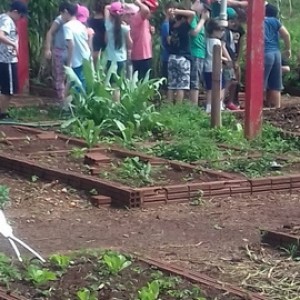 FAZENDO FAZENDA 2º ANO -  2018