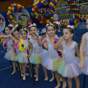 13° Festival de Ginástica Geral - Colégio Santo Inácio