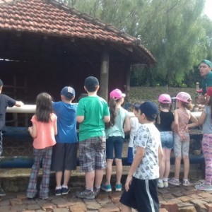 FAZENDO FAZENDA 2º ANO -  2018