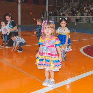 FESTA JUNINA - É O ARRAIÁ DO SANTÃO 2024