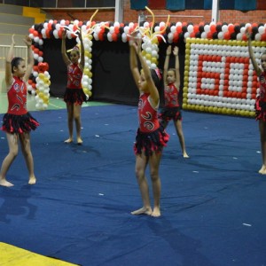 FESTIVAL DE GINÁSTICA 2017