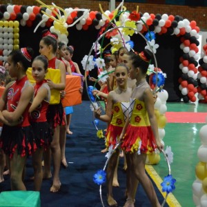 FESTIVAL DE GINÁSTICA 2017