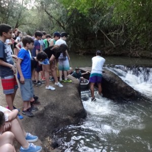 VIAGEM DE ESTUDO AO SÍTIO DO CARROÇÃO