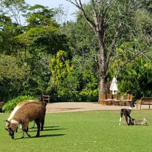 VIAGEM DE ESTUDO AO SÍTIO DO CARROÇÃO