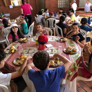 FAZENDO FAZENDA 2017