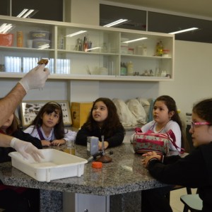 AULA NO LABORATÓRIO SOBRE ANIMAIS VERTEBRADOS E INVERTEBRADOS