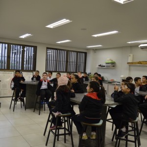 AULA NO LABORATÓRIO SOBRE ANIMAIS VERTEBRADOS E INVERTEBRADOS