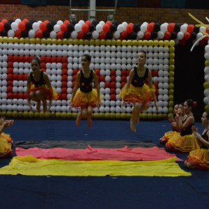 FESTIVAL DE GINÁSTICA 2017