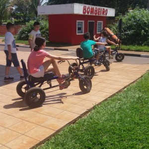 FAZENDO FAZENDA 4º ANO -  2018