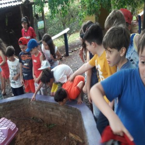 FAZENDO FAZENDA 2017