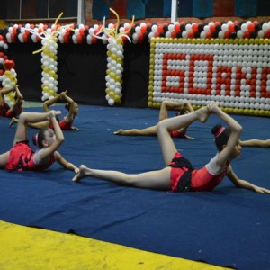 FESTIVAL DE GINÁSTICA 2017