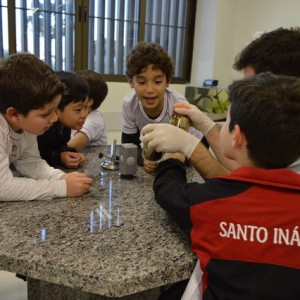 AULA NO LABORATÓRIO SOBRE ANIMAIS VERTEBRADOS E INVERTEBRADOS