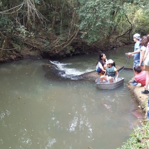 VIAGEM DE ESTUDO AO SÍTIO DO CARROÇÃO