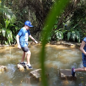 VIAGEM DE ESTUDO AO SÍTIO DO CARROÇÃO