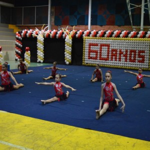 FESTIVAL DE GINÁSTICA 2017