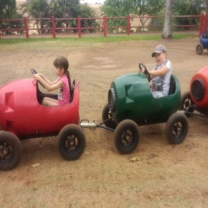 FAZENDO FAZENDA 2017