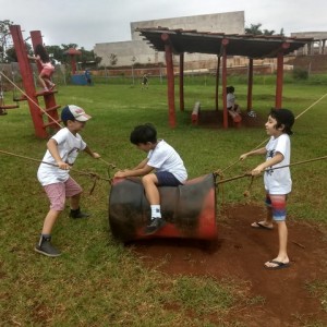 FAZENDO FAZENDA 2º ANO -  2018