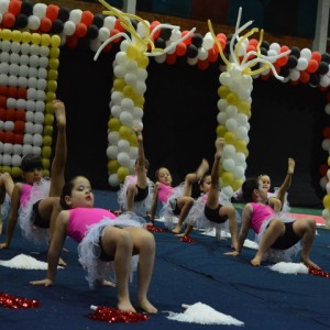 FESTIVAL DE GINÁSTICA 2017