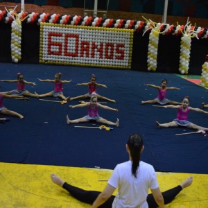 FESTIVAL DE GINÁSTICA 2017