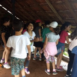 FAZENDO FAZENDA 2º ANO -  2018