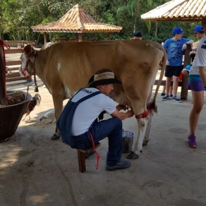 VIAGEM DE ESTUDO AO SÍTIO DO CARROÇÃO