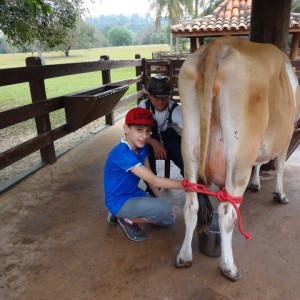 VIAGEM DE ESTUDO AO SÍTIO DO CARROÇÃO