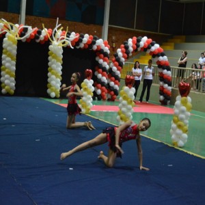 FESTIVAL DE GINÁSTICA 2017