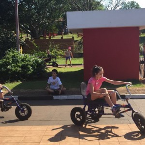 FAZENDO FAZENDA 2017