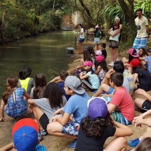 VIAGEM DE ESTUDO AO SÍTIO DO CARROÇÃO