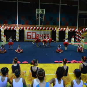 FESTIVAL DE GINÁSTICA 2017