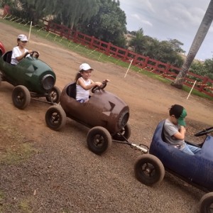 FAZENDO FAZENDA 3º ANO -  2018