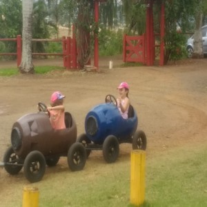 FAZENDO FAZENDA 2017