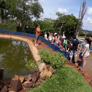 FAZENDO FAZENDA 2º ANO -  2018