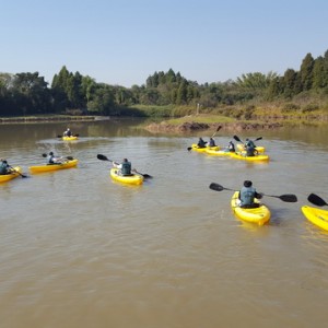 VIAGEM DE ESTUDO AO SÍTIO DO CARROÇÃO